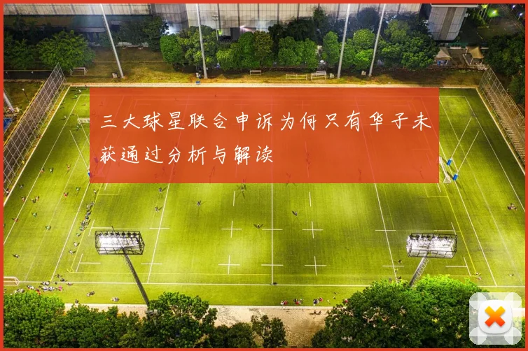 三大球星联合申诉为何只有华子未获通过分析与解读